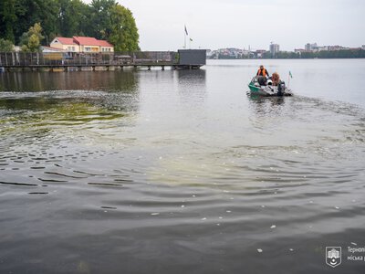 У Тернопільський став внесли мікроводорості для покращення стану водойми