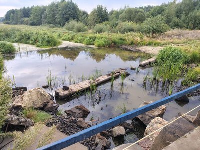 Бетонні блоки на руслі річки Тня: як агробізнес перетворює житомирські водойми на стоячі калюжі