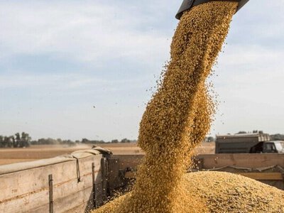 Латвія перевірятиме походження транзитного зерна