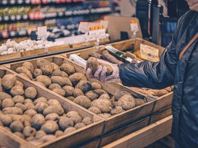 Овочі в Україні можуть подорожчати ще на 60%: найбільше зростуть ціни на тепличні