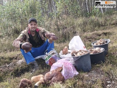 Грибник «здав» місце: кілька відер грибів зібрав біля Ігнатполя на Коростенщині