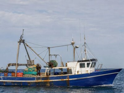 Fundacion Oceana закликала ЄС не послаблювати рибальську політику — Politico Europe