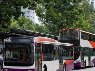 У Сінгапурі водіям таксі та приватних авто запропонували перейти на автобуси — Channel NewsAsia