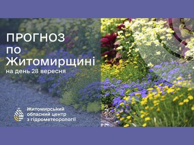Погода сьогодні на Житомирщині