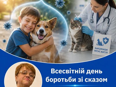 Всесвітній день боротьби зі сказом: як захиститися від смертельної інфекції та яка ситуація на Закарпатті