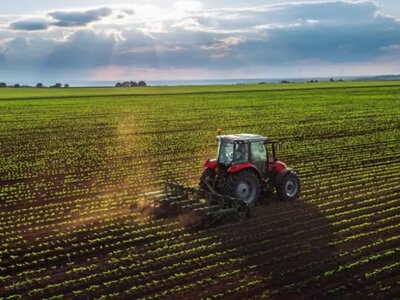 В Україні працює майже 83 тисячі агрокомпаній: хто лідирує за виторгом