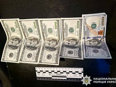 Заїхав у кювет і пропонував 500 доларів хабаря: на Рівненщині затримали нетверезого водія