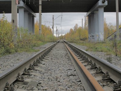 Обвалився міст, і зійшли з рейок десятки вагонів. У Брянській та Калузькій областях через «цілеспрямовані удари» зупинили рух поїздів