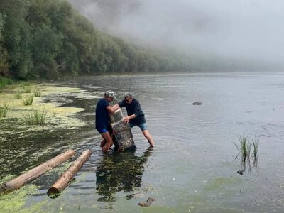 Дністер обмілів і відкрив кам’яний стовп із номером 147: що це за знахідка