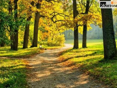 На Житомирщину повертається тепло: прогноз із 29 вересня до 2 жовтня