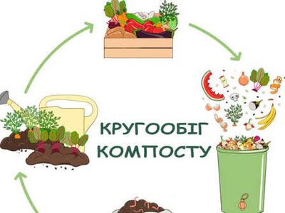 Представники Кролевецької громади вивчають європейський досвід управління біовідходами