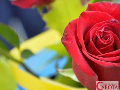 Житомир попрощався із Захисником Андрієм Зінічем, загибель якого підтвердила ДНК-експертиза