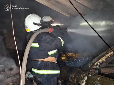 На Миколаївщині пожежа сухої трави перекинулася на складське приміщення