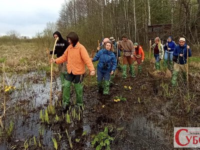 По гриби — і за русалками: що можна побачити на болотах Чернігівщини