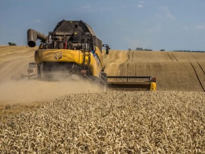 Українські аграрії зібрали понад 34 тонн зернових: де найвища врожайність