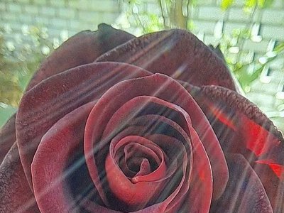 Синоптики розповіли, якою буде погода у Миколаєві та області 30 вересня