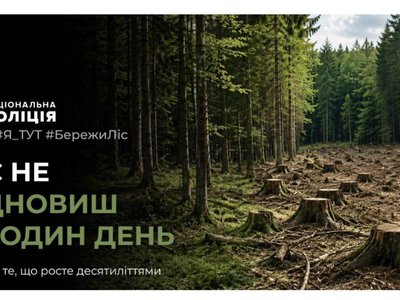 На Тячівщині нагадали про покарання за незаконну вирубку лісу: за яких обставин можна сісти на 7 років