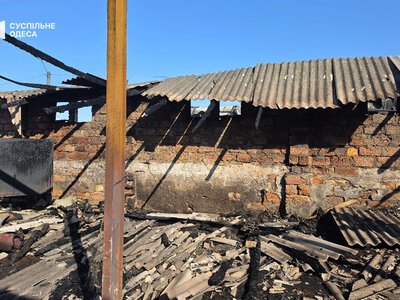 Удар Росії по притулку для тварин на Одещині: загинули 10 котів і троє собак