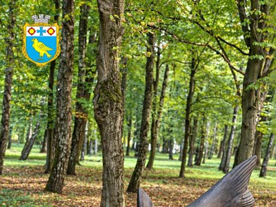 У Бурштині завершився фестиваль дерев’яної скульптури: у парку встановили чотири нові роботи