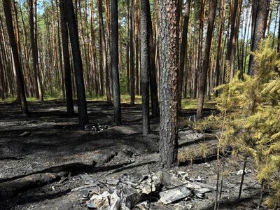 Більше 90% лісових пожеж на Сумщині від початку року спричинені війною