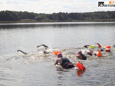 У Житомирі завершили сезон плавання на відкритій воді