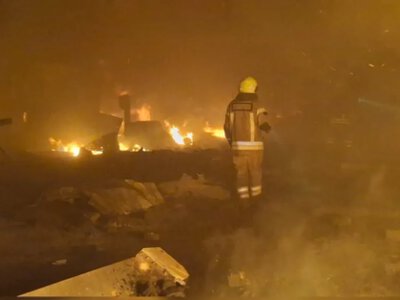 Росіяни атакували притулок для тварин у Великодолинському: загинуло 13 котів та собак