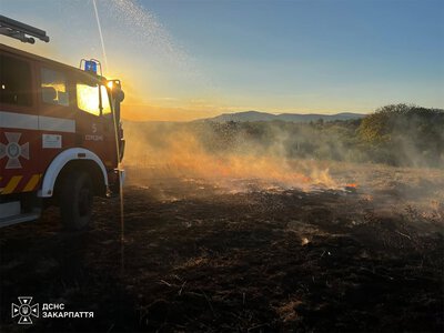 На Закарпатті в екосистемах сталося 15 пожеж