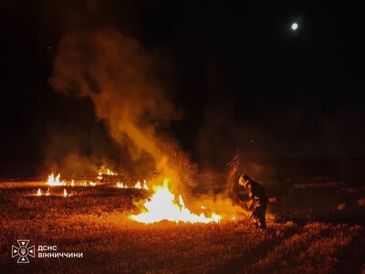Понад 3 гектари вигоріли на Вінниччині через необережне поводження з вогнем