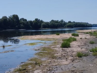 Дністер критично обмілів: Молдова оголосила червоний код і заборонила забір води для поливу