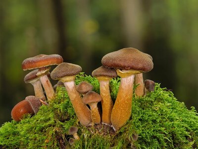 Якою буде погода на Рівненщині 30 вересня. Опадів по області не передбачається, +21
