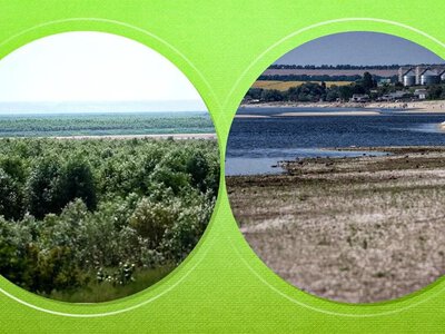 Повторне затоплення Каховського водосховища може загрожувати новій екосистемі