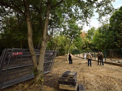 У Львові завершили ексгумацію поховань на старому Голосківському кладовищі: виявили останки 133 військових