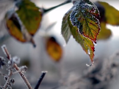 В Україні ще буде до +20°C: у жовтні можливі перші нічні заморозки