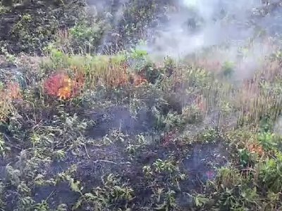Инспекторы выявили поджог стерни в Николаевской области: нарушитель оплатил штраф (видео)