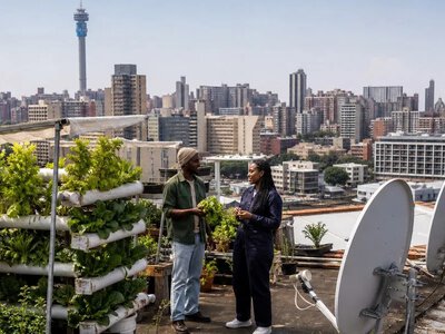 У Йоганнесбурзі на даху багатоповерхівки вирощують овочі гідропонним способом — Daily Maverick