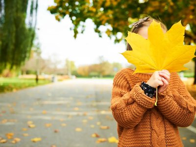 Вночі температура впала майже до нуля: які регіони охопить прохолода 30 вересня 