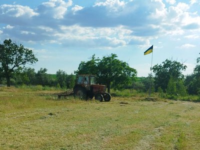 Жителі Надіївки провели благоустрій села: що зроблено