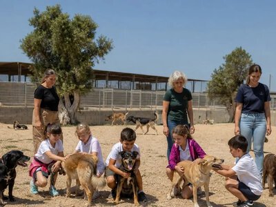 Школярі в Пафосі відвідали притулок для покинутих собак — Cyprus Mail