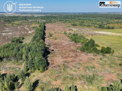 Екоінспектори відреагували на відео з видаленням дерев на Житомирщині