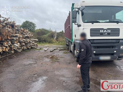 На Житомирщині незаконно зрубали понад 8800 дерев: чотирьом чоловікам повідомили про підозру