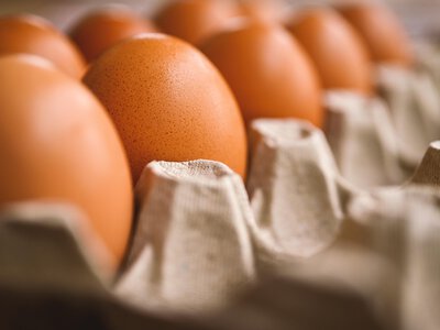 Яйця в Україні можуть подорожчати до 25%: експерти назвали причини стрибка цін