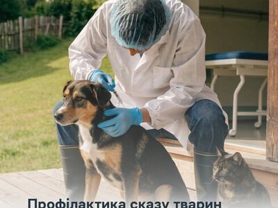 На Прикарпатті за тиждень вакцинували від сказу понад 7,6 тисячі тварин