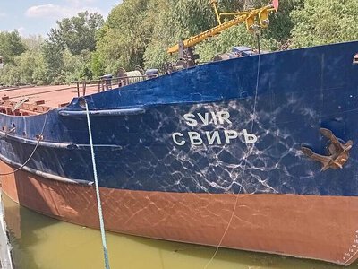 АРМА виставило на продаж дев'ять суден в Ізмаїлі за понад 150 млн грн