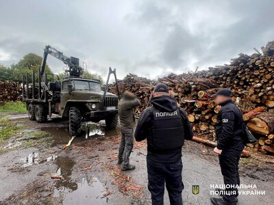 На Житомирщині поліцейські викрили групу «чорних» лісорубів, які нанесли збитки на понад 33 мільйони гривень