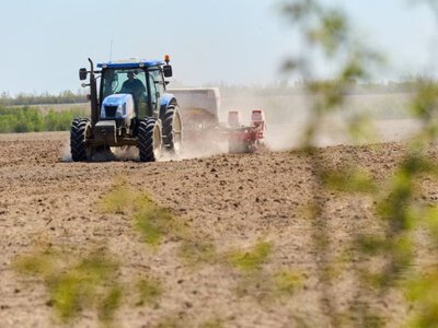 В Україні вже засіяли майже 1,6 млн гектарів озимих зернових