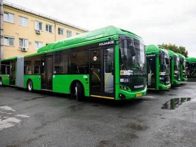 У Росії скасували десятки автобусних рейсів через борги