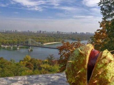 У перший день жовтня в Україні прогнозують заморозки, але вдень повітря прогріється до +22°