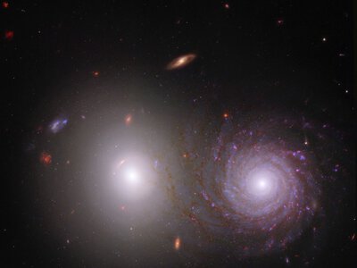 Help Overlap Zoo Reveal Cosmic Dust – NASA Science