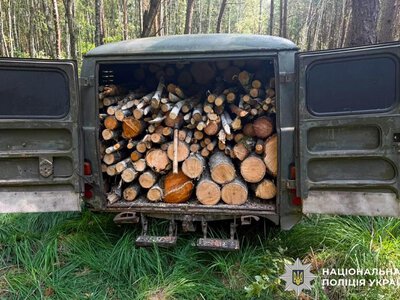 Понад 600 тисяч гривень збитків: на Варащині судитимуть двох чоловіків за порубку лісу