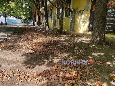 Яким буде жовтень у Миколаївській області: кліматологи назвали норму температури та опадів